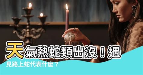 路上 看 到蛇代表什麼|【在路上看到蛇代表什麼】夜路驚魂！在路上看到蛇代表什麼？